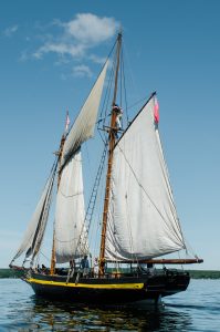HMS Bee side view