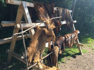 Stretching racks used to preserve hides