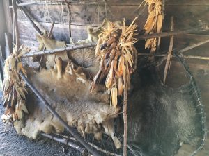 Stretching rack with deer hide