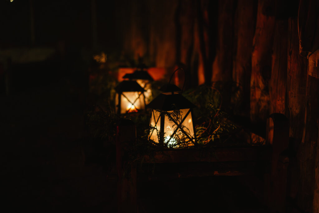 DSC08659-Enhanced-NR